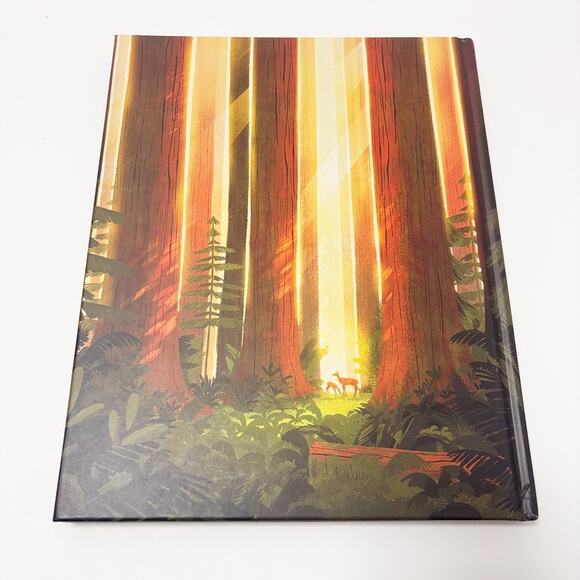 The Art of the National Parks Coffee Table Art Book by Fifty-Nine Parks - Picture 10 of 12